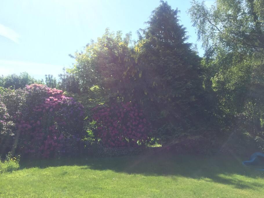 Willow Cottage, Gilchristland Organic Farm Closeburn Exteriör bild